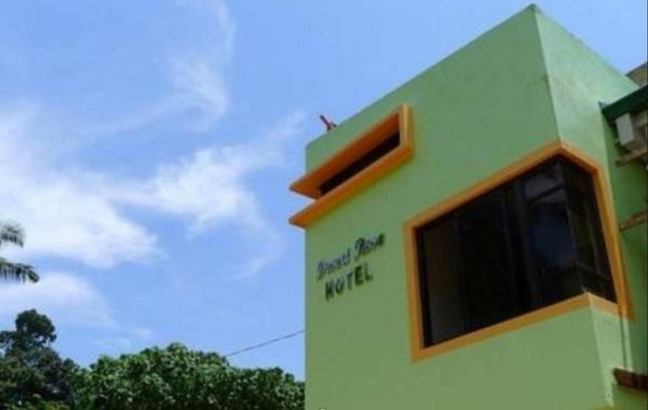 Desert Rose Hotel El Nido Exteriör bild